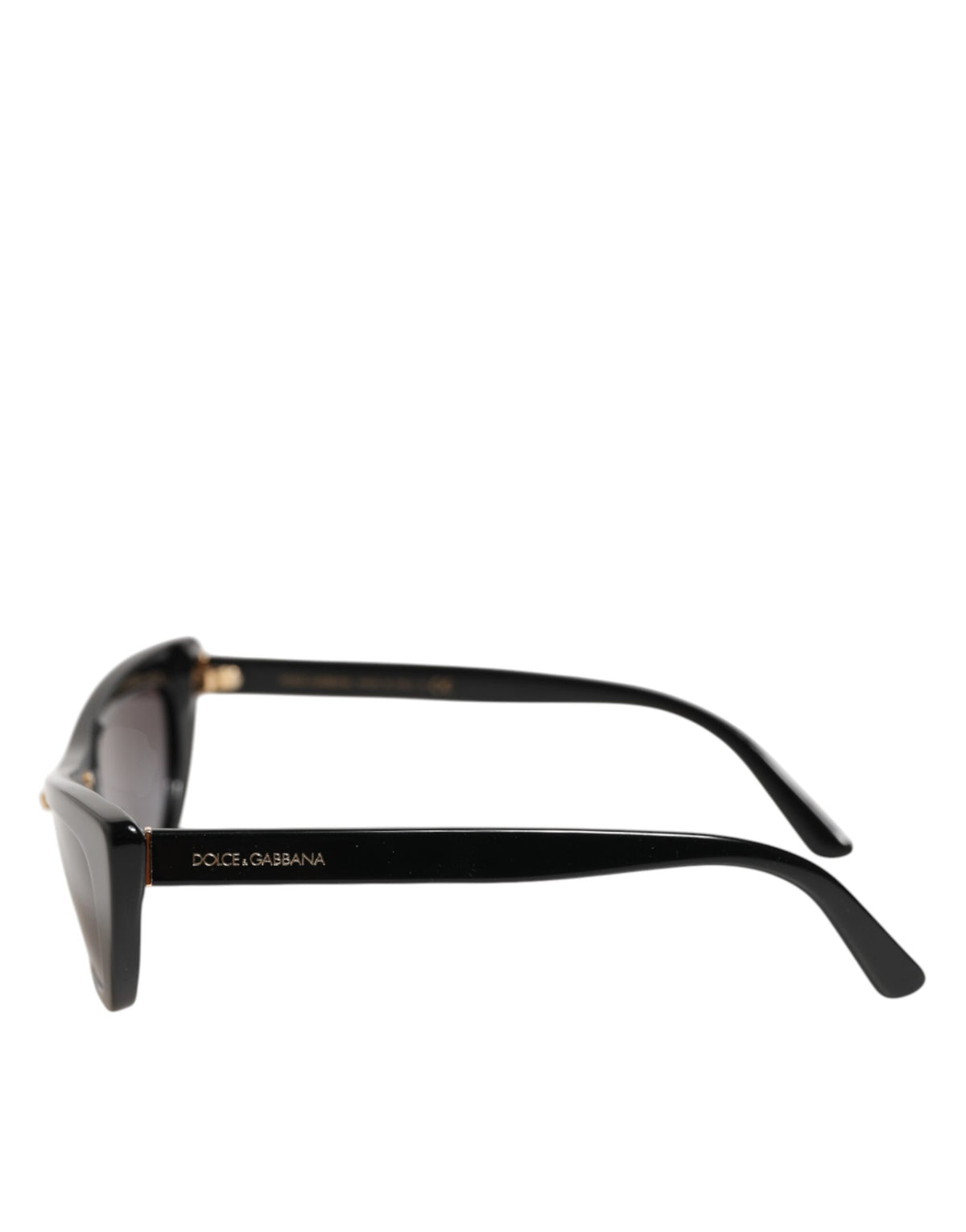 Dolce & Gabbana Black Re-Edition DNA Cat-Eye Frame Sunglasses